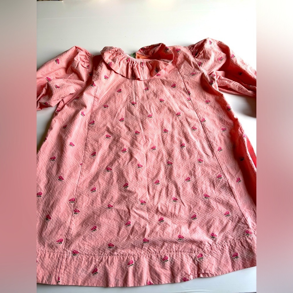 Fraisinette Strawberry Shortcake Halloween Costume 3XL